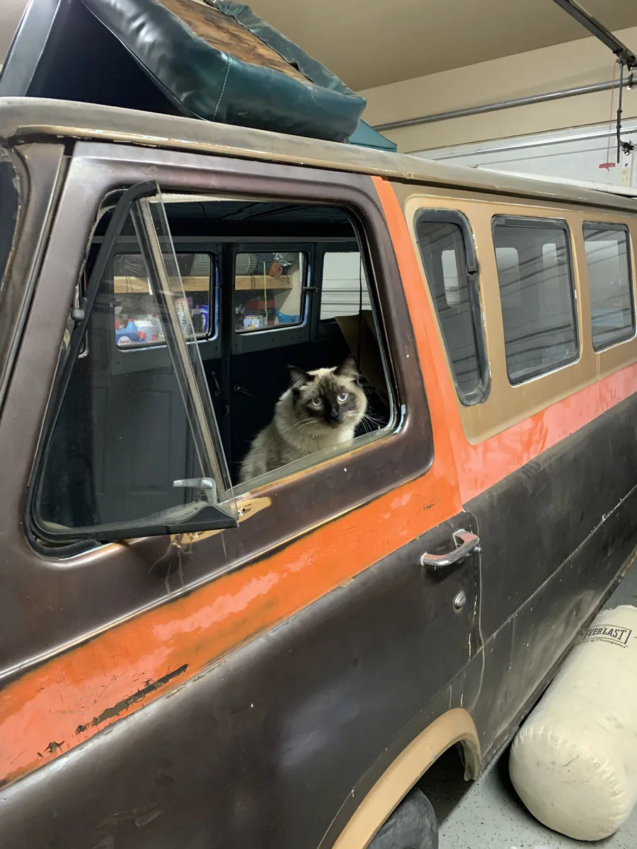 Supervised from day one - March 2020